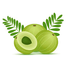 Amla